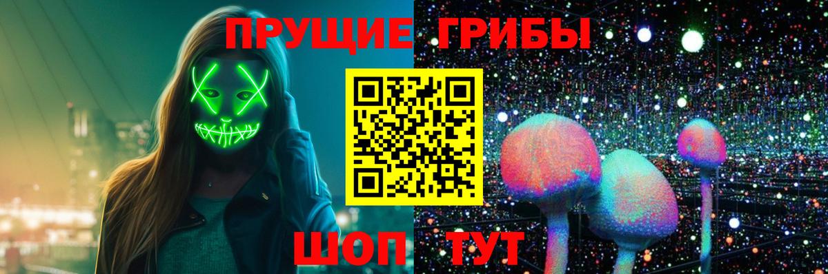 Псилоцибиновые грибы Psilocybine cubensis Альметьевск
